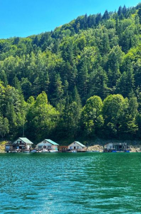 Lake Cabin Bicaz